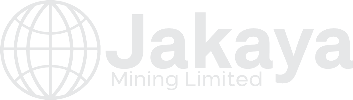 Footer Logo